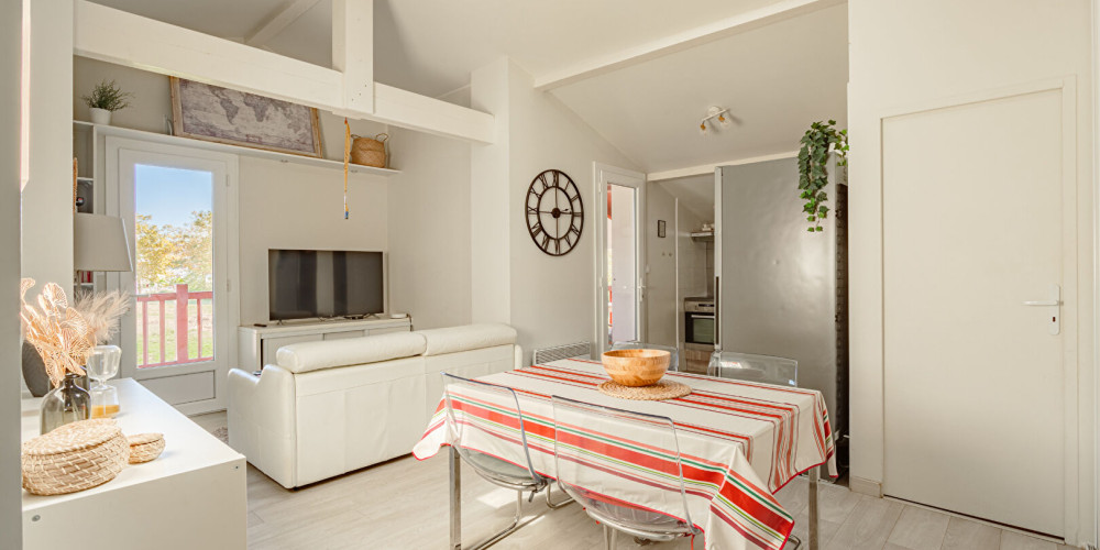 appartement à ST PEE SUR NIVELLE (64310)